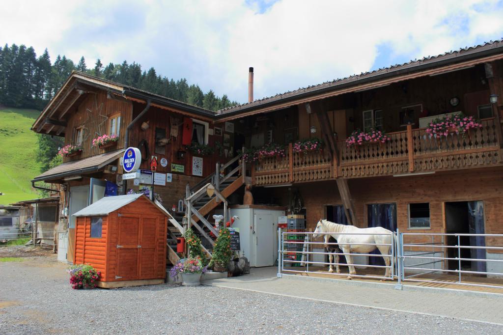 Haflingerhof Fruhboden Βίλα Egg Εξωτερικό φωτογραφία